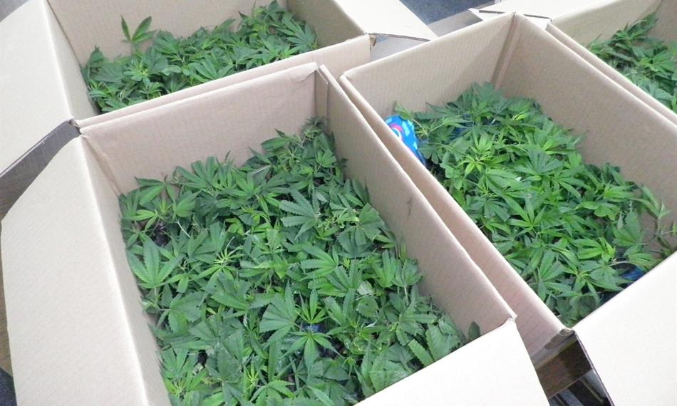 2011-7-28-133Snímek 012.jpg